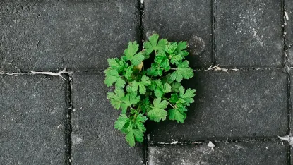 Casino Deposit Win Application mobile